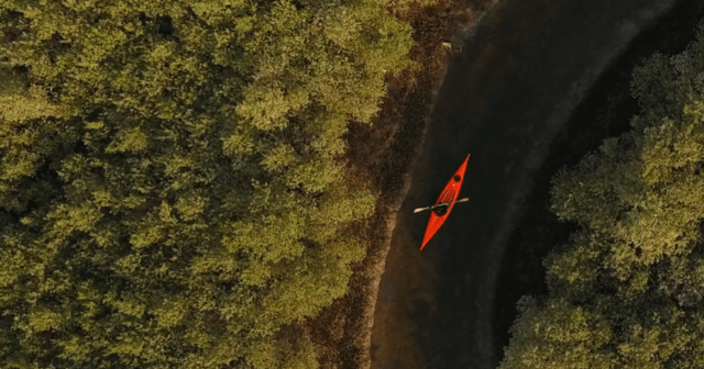 Mangrove kayaking RAK adventure